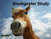 Biodigester Feasibility Study